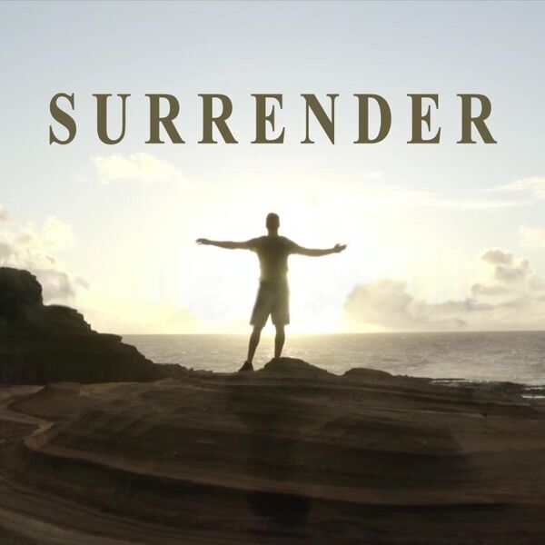 Cover art for Surrender